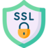 ssl logo